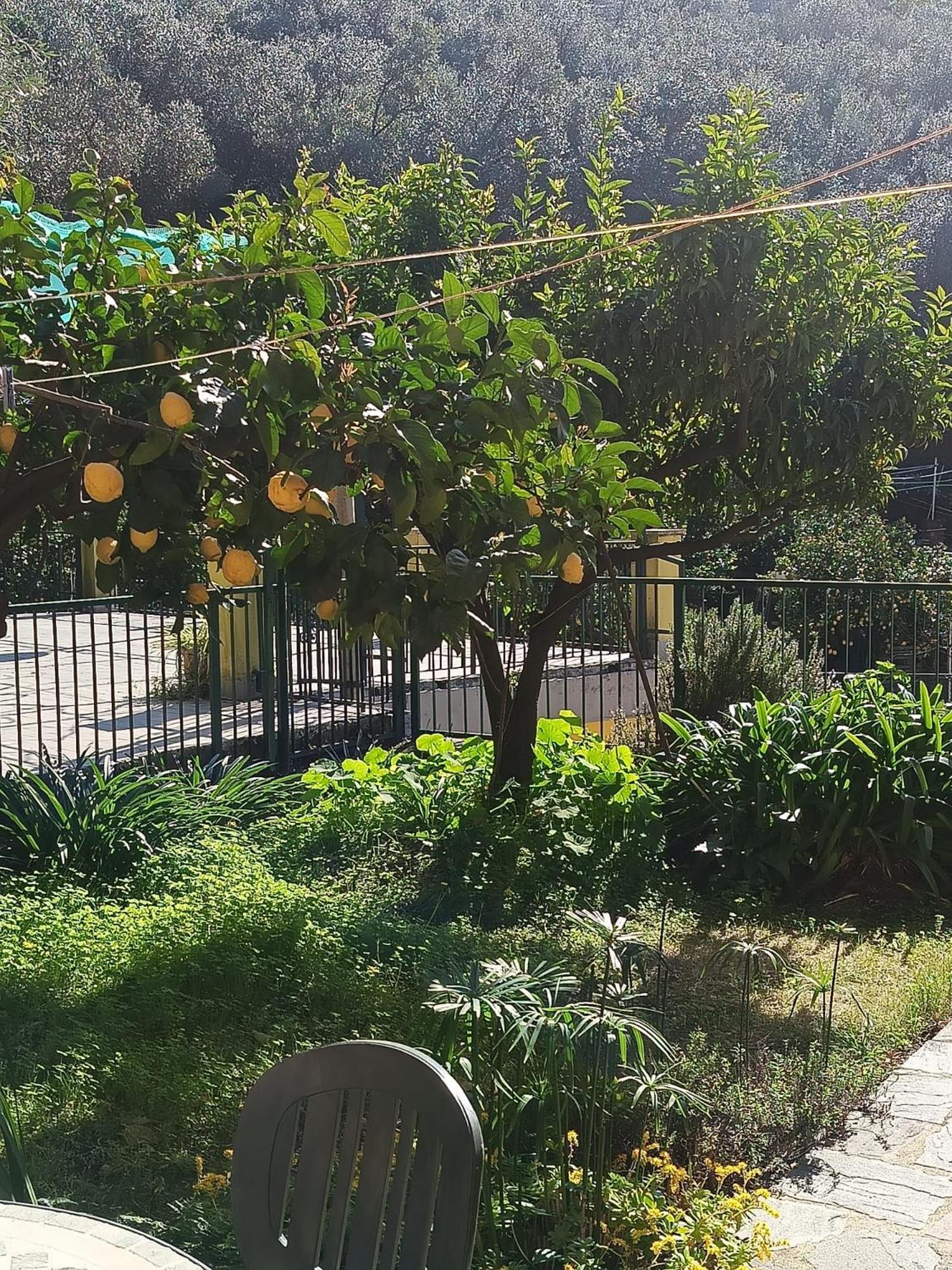 Chez Diego With Ac And Garden Monterosso al Mare Exterior foto